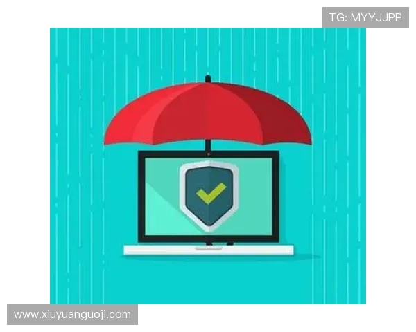 七星体育官网注册成功后如何进行账号安全设置与个人信息保护